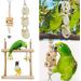 Allazone Bird Parrot Toys 13 PCS Hanging Bell Pet Bird Cage Hammock Swing Toy Wooden Chewing Toy for Conures Love Birds Small Parakeets Cockatiels Macaws Style 7 - Buy Online on GoSupps.com