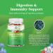 Kids Probiotic Gummies with Bacillus Subtilis - Immune Booster, Colon Detox, Digestive Health - Constipation Relief - Kids Vitamins Gummy - Buy Online on GoSupps.com