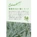 Argital Sage Toothpaste 75ml - Natural Oral Care for Fresh Breath | International Shipping Available - Buy Online on GoSupps.com