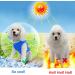 Pet Cooling Vest Cool Down Vest for Summer Ice Vest for Small Medium and Large Dogs (Size : M) - Buy Online on GoSupps.com