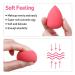 5 Pcs Latex-Free Makeup Sponge Set with Holder - Wet & Dry Beauty Blenders for Foundation & Powder - Buy Online on GoSupps.com