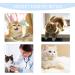 Cat Recovery Suit Cat Surgery Recovery Suit Cat Outfits for Cats Only Cone Collar Alternatives Suit for Cats Weaning Wounds Skin Diseases Cats Anti Licking Pajama Suit(Blue L Size) - Buy Online on GoSupps.com