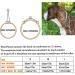 HAPPY HACHI Half Check Dog Collar | Martingale Collar for Medium to Large Dogs | Training and Walking Collar | Silver, Size S 30-43cm - Buy Online on GoSupps.com