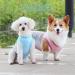 Light Dog Cooling Vest - Breathable UV Protection T-Shirt for Small to Medium Dogs | Reflective Cooling Jacket for Spring & Summer - Size S (Blue) - Buy Online on GoSupps.com