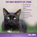 Pet MD Lysine Support Gel for Cats - Allergy & Immune Support - Salmon Flavour - 50mL - Buy Online on GoSupps.com