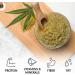 Hemp Protein Powder | Plant Based Protein Powder Organic Unsweetened Gluten Free Vegan Protein with BCAA's plus Fiber Healthy Fats Antioxidants and Minerals Free of Soy GMOs & Sugar Free by Sunwarrior - Buy Online on GoSupps.com