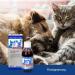 Alfavet Reconvales Energy Double Pack for Cats | High-Caloric Support for Convalescence & Underweight | 2 x 180ml - International Shipping Available - Buy Online on GoSupps.com