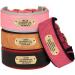 Personalized Pink PU Leather Dog Collar for Medium Large Dogs | Soft Padded Custom Engraved Name Tag | Comfortable & Stylish - M: Neck 33-41cm Width 3cm - Buy Online on GoSupps.com