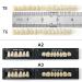 Dental Acrylic Resin Denture False Teeth Set | A2 T6 Synthetic Polymer Resin | Halloween DIY | 28 Pcs - Buy Online on GoSupps.com