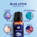 Blue Lotus Essential Oil | Premium Therapeutic Grade | for Aromatherapy Diffuser Skin Soaps Lotions & Candles | Vegan & Cruelty Free Undiluted Essential Oil (0.34 Fl Oz (Pack of 1) Blue Lotus) - Buy Online on GoSupps.com