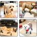 BINGPET Dog Socks - Non-Slip Strap Paw Protectors for Traction Control | Waterproof Indoor & Outdoor Use - Buy Online on GoSupps.com