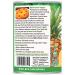 Native Forest Organic Pineapple Slices - 15oz Cans (Pack of 6) | Buy Online - Buy Online on GoSupps.com