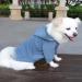 Hualisiji Hooded Dog Sweater | Warm & Lightweight Chihuahua Hoodie | Soft Textured Small Dog Clothing | 2PCs Gray & Haze Blue - Buy Online on GoSupps.com