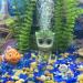 Buy SLOCME Aquarium Groot Air Bubbler Stone Decorations | 2m Airline Hose & Control Valve - Enhance Your Aquarium Today! - Buy Online on GoSupps.com