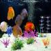 Buy Eqlef Artificial Aquarium Plants - 7 Piece Bright Coral & Aquatic Decorations for Stunning Aquariums - Buy Online on GoSupps.com
