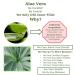 Happy Teeth & Gum Kit: Organic Plaque Remover for Gum Disease Reversal - Buy Online on GoSupps.com