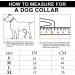 Gold Dog Chain Collar Metal Choke Collar with Design Secure Buckle Chew Resistant Heavy Duty Stainless Steel Walking Training Chain Leash Collar (gold A 16inch) gold A 16inch - Buy Online on GoSupps.com
