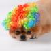 Funny Dog & Cat Role Play Wigs for Halloween & Christmas - Colorful Pet Costumes for Small Medium & Large Dogs - Buy Online on GoSupps.com