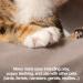 PetFusion Multipurpose Pet Glove for Grooming, Vet Trips & Handling - Medium, Grey - Buy Online on GoSupps.com