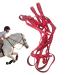 Halter for Horse | Heavy Duty Chin and Throat Snap Halter Horse Comfortable Padded Nylon Horse Halter for Training Equestrian Grooming Lambo Red