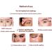 Guide de ligne pour les yeux ail s Accessoires Beauty Eye Make Up Pochoir pour cr er la forme parfaite des yeux et des sourcils - Buy Online on GoSupps.com
