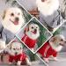 Shop Cute Dog Sweater for Small Dogs | Warm Cotton Hoodie for Pets - XS Grey & Red - Buy Online on GoSupps.com