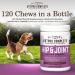 VetPro Dog Hip & Joint Supplement - Pain Relief Chews with Glucosamine, Chondroitin, MSM, Turmeric, Omega 3 & Vitamin C - Arthritis & Hip Dysplasia Relief for Dogs - Buy Online on GoSupps.com