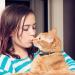 Handmade Leather Cat Neck Straps with Bells - Adjustable Durable 8-Piece Set for Small Pets | Perfect for Indoor & Outdoor Use - Buy Online on GoSupps.com