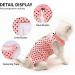 TORJOY Cat Professional Recovery Suit for Abdominal Wounds - Medium Wave Point | Anti-Licking, Breathable, E-Collar Alternative for Cats & Dogs - Buy Online on GoSupps.com