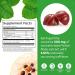 Yerba Mate Gummies - Quince Flavor | Vegan & Non-GMO | Boost Energy & Focus Naturally | Gluten-Free | 6 Count Pack - Buy Online on GoSupps.com
