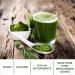 Neutraleaf Organic Wheat Grass Powder 200g - Superfood for Healthy Metabolism Detox Antioxidant Energy Boost Immunity & Skin Health | International Shipping Available - Buy Online on GoSupps.com