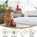 ROSAUI 4-Piece Cat Fishing Rod Set | Indoor Kitten Accessories | Best Toys for Cats - Buy Online on GoSupps.com