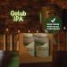 Brewery Detergent 8lb - High Alkaline Multi-Use Cleaner for Growlers - Non-Caustic Soda Powder Wash - Powerful Brewery Cleaning Solution - Buy Online on GoSupps.com