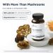 Designs for Health MycoSupreme Mushroom Supplement - Nootropic Immune Support Supplement with Lion s Mane Reishi Cordyceps Turkey Tail & Chaga Mushroom Complex - Vegan Gluten Free (60 Capsules) - Buy Online on GoSupps.com