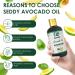 Seddy Avocado Oil - 100% Pure Natural Moisturizer for Hair Skin Face Body & Nails | Unscented Hexane-Free Carrier Oil | 8 Fl. Oz Ideal for DIY Beauty Blends - Buy Online on GoSupps.com