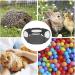 Foldable Transparent Pet Playpen with Top Cover - Portable Anti-Escape Cage for Small Animals - Ideal for Dogs, Cats, Hamsters, Guinea Pigs, and Rabbits - Black - Buy Online on GoSupps.com