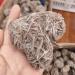Natural Crystal Rough 1pcs Natural Desert Rose Seleniteraw Crystal Stone Specimen Rough Sample Cluster fengshui Decor NaturalReiki Decoration ERTEYIN (Size : 150-180g) - Buy Online on GoSupps.com