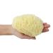 Natural Sea Sponge for Gentle Baby Bath | Hypoallergenic & Eco-Friendly - Buy Online on GoSupps.com