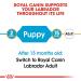 Royal Canin Dog Food Labrador Retriever Puppy Dry Mix 12kg 12 kg (Pack of 1) - Buy Online on GoSupps.com