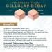 Dr. Rosenberg's Skin Health Formula: ReActivate Your Skin's Beauty Naturally - Buy Online on GoSupps.com