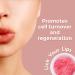 Watermelon Sugar Lip Scrub - Exfoliates, Moisturizes & Lightens Dark Lips | Organic Lip Scrub with Brush for Dry, Chapped Lips - Buy Online on GoSupps.com