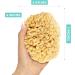 XFO Natural Sea Sponge - Medium 5in Wool Sponge for Bathing Showering & Exfoliating | Eco-Friendly Loofah Alternative Sourced from USA - Buy Online on GoSupps.com