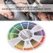 Color Wheel Guide for Art and Makeup Mixing - Creative Chromatic Circle for Paint and Blend Board - Small Pocket Size for Art Class and Learning Tool - Buy Online on GoSupps.com