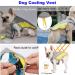 Tineer Pet Cooling Vest for Dogs - Reflective Summer Jacket for Small & Medium Dogs | Ideal for Hiking Climbing & Sports (L) - Buy Online on GoSupps.com
