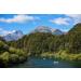 Honeyholics Patagonia Mountain Raw Unpasteurised Honey 100 APF Immune Support - Buy Online on GoSupps.com