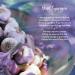 Healthspan Heart Synergex 28 Day Supply with Vitamin D3, Plant Sterols, Garlic, Omega 3 & Co-Enzyme Q10 - Cardio-Vitamin Complex - Friend of The Sea Certified - Buy Online on GoSupps.com