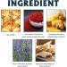 Lukmlca Bienengift Fußbad & Lymphatic Foot Ointment | Natural Beekeeping Benefits | International Shipping - Buy Online on GoSupps.com