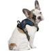 Littlearth NCAA Syracuse Orange Front Clip Pet Harness - Team Color | X-Large - Buy Online on GoSupps.com
