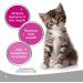 Logic Oral Hygiene Gel for Cats and Dogs 70 g with Finger Toothbrush 1 Count ( Pack of 1) 70 g (Pack of 1) - Buy Online on GoSupps.com