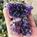 Natural Amethyst Cluster Quartz Crystal geode Specimen Suitable for Home HOMEZHOU (Size : 160-190g) - Buy Online on GoSupps.com